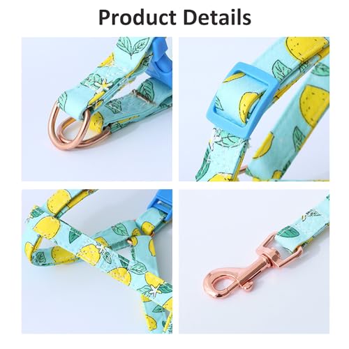 Harikaji Pet Harness with Leash, Fruit Style Dog Harness Pull On Adjustable Lightweight Cat Harness Leash Set for Cat Pupp...