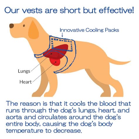 Horay World Cooling Vest for Dogs - Dog Cooling Vest with Innovative Cooling Packs (L, Light Blue)