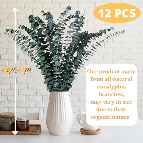 12PCS Dried Eucalyptus for Shower Hanging - 17'' Real Large Preserved Eucalyptus Stems Green Home Decor, 100% Made from Fr...