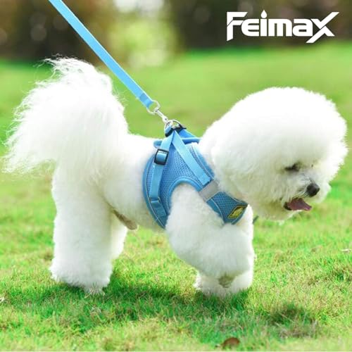 FEimaX Dog Harness and Leash Set, No Pull Breathable Soft Mesh Puppy Vest Harness Reflective Adjustable Pet Harnesses for ...