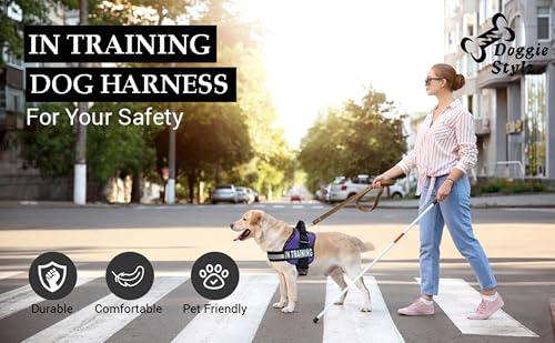 Service Dog in Training Vest - Adjustable No Pull Dog Harness with Patches. in Training Dog Vest for Service Dogs Small, M...