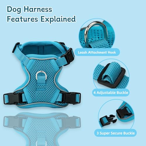 Ychpaw Small Dog Harness and Leash Set, Reflective Soft Breathable Mesh Vest, 3 Buckles, Adjustable Neck and Chest,Step in...