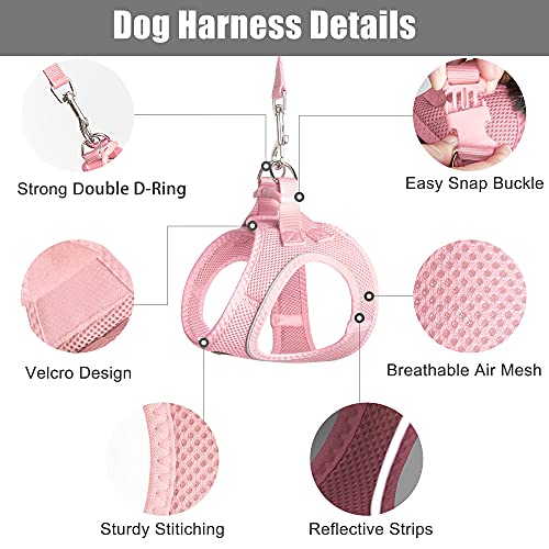 PetiFine Extra Small Step in Dog Harness and Leash Set, Cat Harness and Leash Escape Proof, All Weather Mesh Reflective, S...