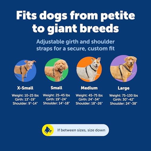 PetSafe 3-in-1 Harness - Comfortable Easy-Walk Dog Chest Harness with Front Leash Attachment to Reduce Pulling, Choking & ...