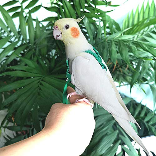ASOCEA Adjustable Bird Harness and Leash for Yellow Naped Amazons Galah Cockatoos Small to Medium Breed Parrots Fits Birds...