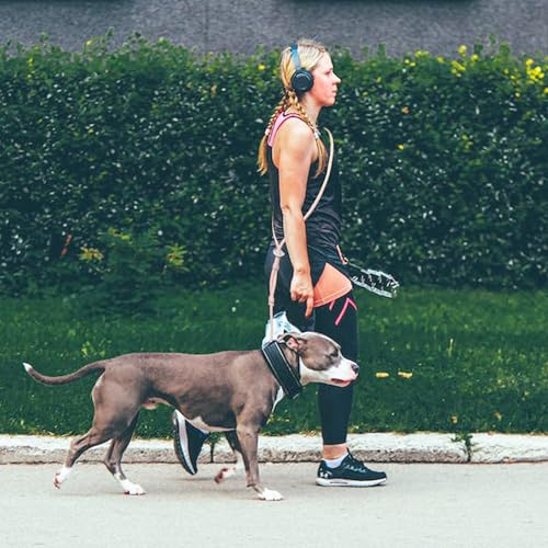 Tiesenci Hands Free Dog Leash Crossbody & Waist for Walking, 9-in-1 No Pull Dog Harness & Leash Set, Waterproof Training S...