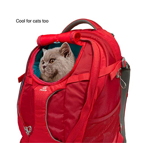Kurgo G-Train Dog Carrier Backpack - Comfortable Travel Bag for Pets Up to 25 lbs - Waterproof Bottom - Multi-Compartment ...