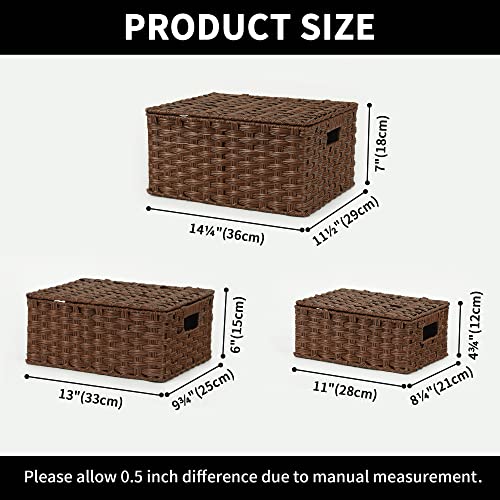 GRANNY SAYS Wicker Baskets with Lids, Set of 3 Decorative Storage Boxes, Woven Basket for Organizing, Storage and Organize...