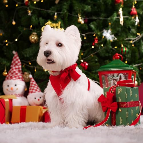 Didog Cute Small Dog Harness Collar and Leash Set with Bowtie, Breathable Soft Mesh Padded Puppy Harness, Christmas Dog Ha...