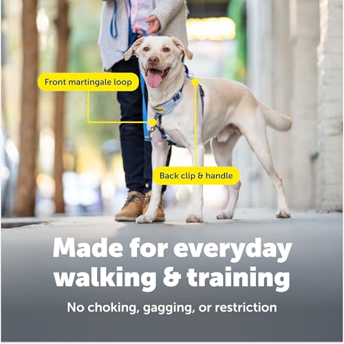 PetSafe Easy Walk Comfort No-Pull Dog Harness Full-Body Padding - Better Walks on the First Use - 5 Points of Adjustment M...