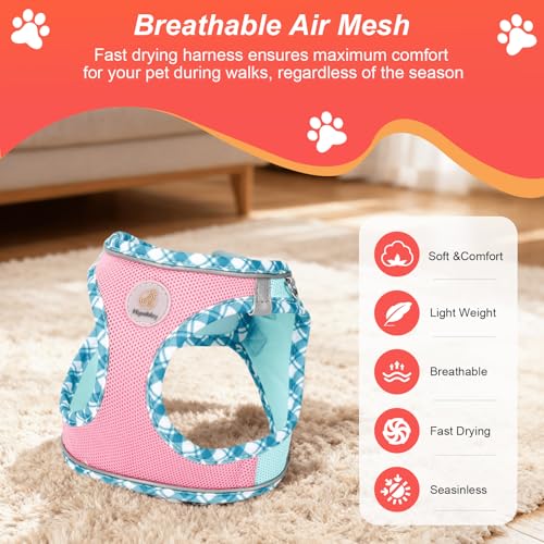 Hipubby Dog Harness Small Sized and Leash Set, No Pull Soft Mesh Puppy Vest, Reflective Breathable Lightweight Pet Harnes...
