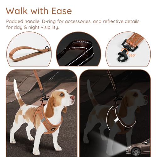 BELLA & PAL Step in Vest Harness for Small and Medium Dogs, No Pull Puppy Harness with Leash Set, Comfortable Air Mesh Dog...