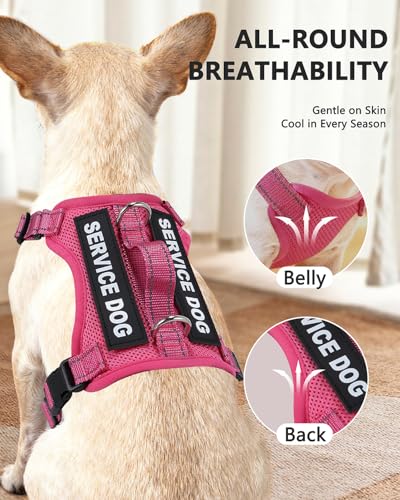 Service Dog Vest for Small Breed Dogs with ID Tag – Lightweight Puppy Harness and Leash Set with 6 PCS Patches, Ideal Serv...