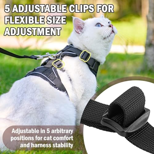 PUPTECK Cat Harness and Leash Set Escape Proof for Walking, Breathable Mash Vest Adjustable Harness for Cats Puppy Small A...