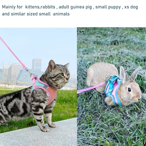 Anelekor Bunny Harness and Leash Set Reflective Strip Kitten Vest Harness Escape Proof Rabbit Leash Walking Pet Accessorie...
