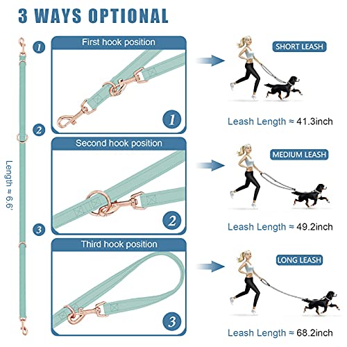 Soft Leather Dog Collar and Leash (6.6') Set - Stylish Rose Gold Heavy Duty Metal Buckle, 4 Adjustable Lengths Leash for S...