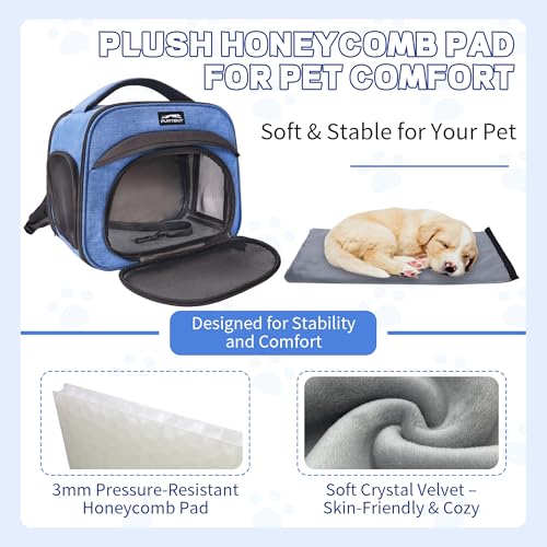 Small Pet Carrier, Breathable Collapsible Pet Bag with Safety Leash for Small Puppy, Kitten, Guinea Pig Weighing up to 8 P...