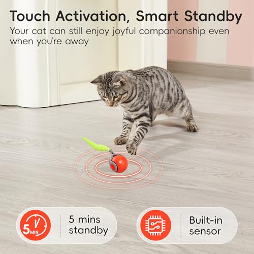 Potaroma Moving Ball Cat Toys with Feather Tail, Rechargeable 2025 New Interactive Toy for Indoor Cats Exercise, Smart Int...
