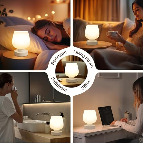 Seealle Touch Table Lamp for Nightstand - Small Bedside Lamp for Bedroom Living Room Night Stands, Desk Lamp with White Gl...