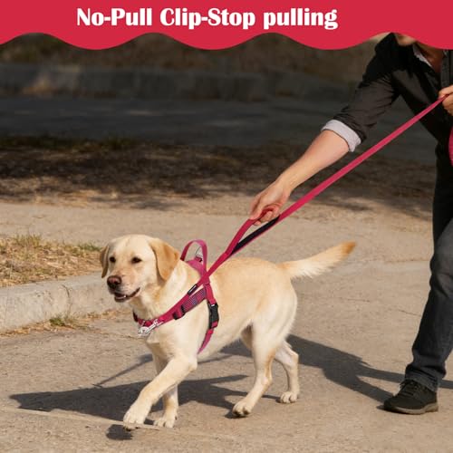 Annchwool No Pull Dog Harness with Front Clip and Easy Control Handle-Belly & Chest Adjustable Dog Harness and Leash Set f...