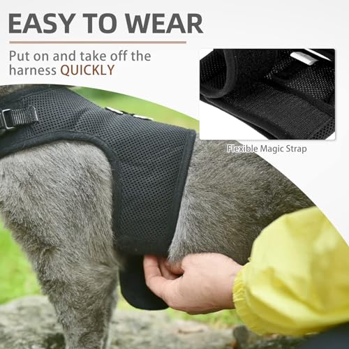 PUPTECK Soft Mesh Cat Vest Harness and Leash Set Puppy Padded Pet Harnesses Escape Proof for Cats Small Dogs Rabbits Bunn...