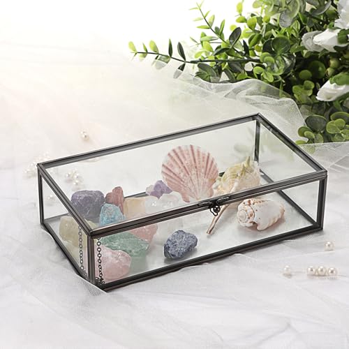 Hipiwe Glass Keepsakes Display Box with Lid - Decorative Black Glass Box Clear Rectangle Storage for Trinket Perfume Cards...