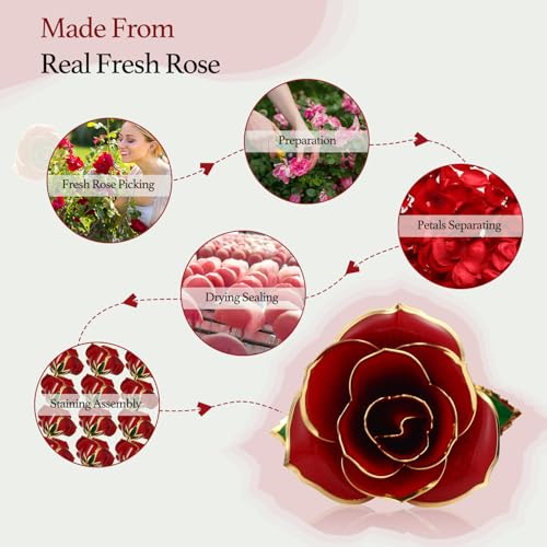 Easegain Gold Dipped Rose 24k Red Gold Plated Rose - Everlasting Long Stem Real Rose Exquisite Holder, Romantic Gift for V...