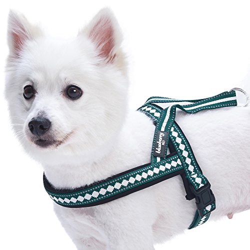 Blueberry Pet 6 Colors Soft & Comfy Jacquard Padded Dog Harness, Chest Girth 21.5" - 27.5", Teal Blue, S/M, Reflective Adj...