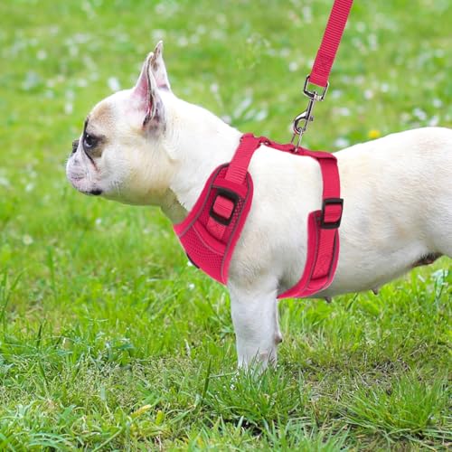 PUPTECK Small Dog Harness and Leash Set, No Pull Adjustable Puppy Cat Harness, Reflective Soft Mesh Pet Vest Small Sized, ...