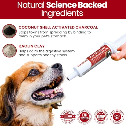 PawMergency – Activated Charcoal First Aid Kit Emergency Rescue for Dogs, Cats, Puppy & Pet Poison Kit, Camping Survival R...