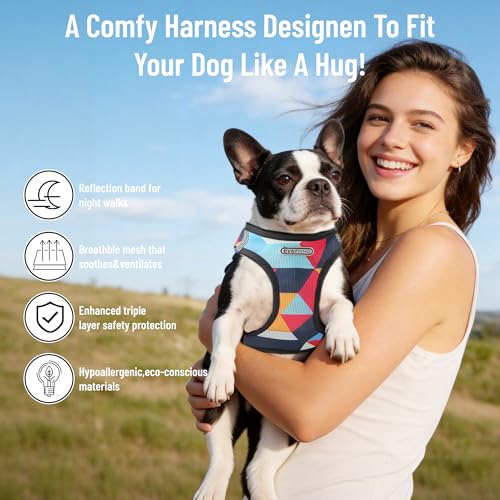 EVERKING Breathable Mesh No-Pull Dog Harness & Leash Set for Small Dogs, Reflective Trim for Safety – Comfortable Vest Des...