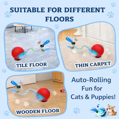GlowPounce Interactive Rolling Ball Toy for Indoor Cats & Small Dogs – Motion-Activated Smart Moving Ball with LED Lights...