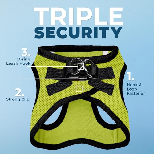 Best Pet Supplies Voyager Step-in Air All Weather Mesh Harness and Reflective Dog 5ft Leash Combo with Neoprene Handle, fo...
