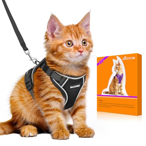 Halypet Cat Harness and Leash Set - MAX Safety 4th-Gen Upgrade, Escape Proof, Adjustable, Comfortable Soft Vest, Easy to W...