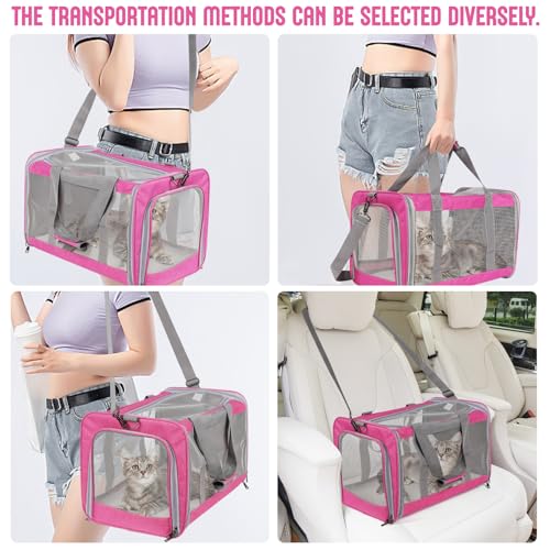 TIYOLAT Pet Carrier for Large Cats of 20 Lbs, Collapsible Carrier Bag for Big Cat or 2 Kittens,Soft Sided Puppy Carrier wi...