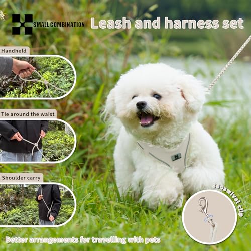 SMALL COMBINATION Adjustable Dog Harness with Leash, Reflective Mesh, No-Pull Design，Matching Lead Rope (Cream-Coloured, S)