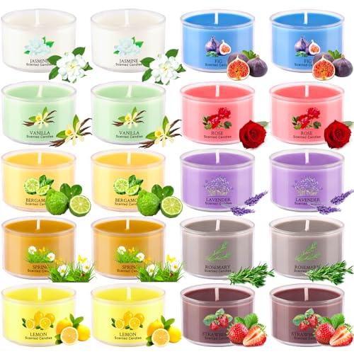 Aromatherapy Scented Candles 20 Pack - Small Candle Gift Set for Women with 10 Scents, 35g Long-Lasting Soy Wax Candles fo...