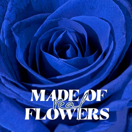 Forever Flowers Preserved Roses with Light in Glass Dome, Romantic Gifts for Mom Wife Girlfriend Grandma, Blue Flower for ...