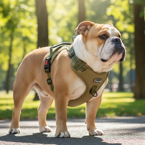 LUVMOJO Tactical Dog Harness and Leash Set, No Pull Adjustable Heavy Duty Pet Vest with Handle, Reflective Harnesses and L...