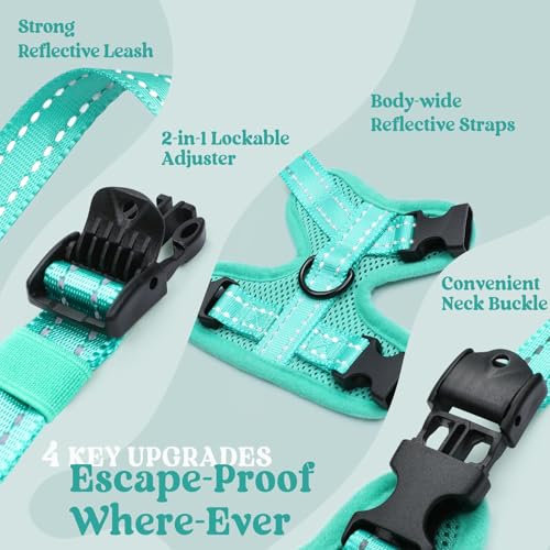 rabbitgoo Cat Harness and Leash, Escape Proof Vest with 3 Adjustable Buckles, Soft Comfortable Kitten Harness, Easy to Wea...