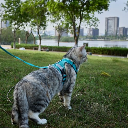 pangdi Cat Harness and Leash Escape Proof Extra Large Kitten Harness Maine Coon Cat Vest for Walking Travel, Turquoise, XL