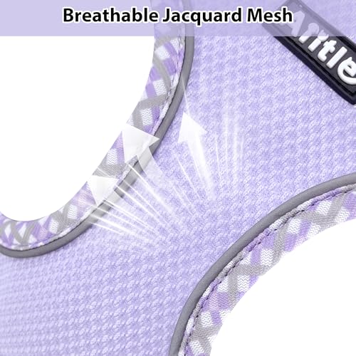 AIITLE Tiny Dog Harness - Lightweight Mesh Step-in Vest for Puppy, Reflective & Escape-Proof Design with High-Stick Magic ...