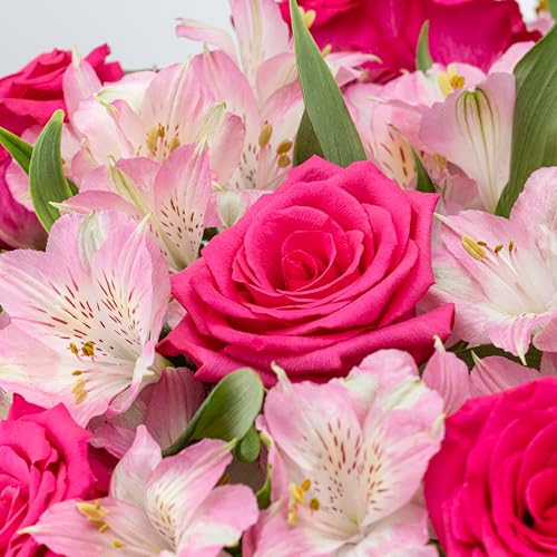 Benchmark Bouquets - Charming Roses & Alstroemeria (Glass Vase Included) - Fresh Flowers for Delivery - Gift for Graduatio...