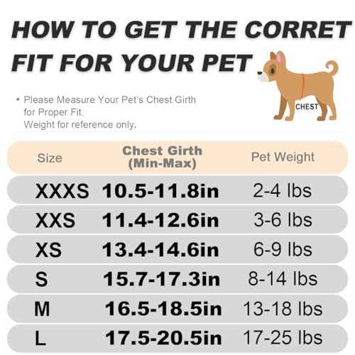 Dog Harness and Leash Set,Step in Small Sized Dog Harness,Soft Mesh,No-Chock,Reflective Adjustable,Secure with Hook & Loop...