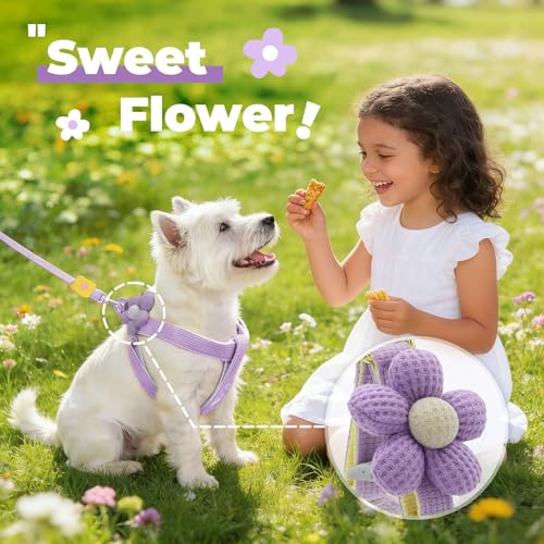 PETCARE Cute Flower Dog Harness and Bowtie Leash Set Easy Walk Puppy Dog Halter Harness for Small Dogs Girl Step in Dogs H...