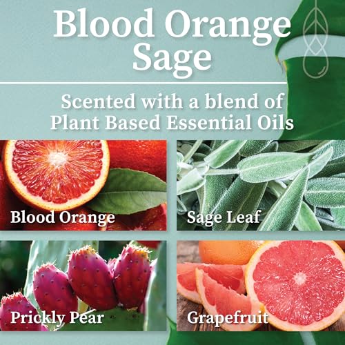 Hemlock Park Blood Orange Sage Apothecary Hand-Poured Scented Candle | Crackling Wood Wick, Botanical Fragrance & Coconut ...