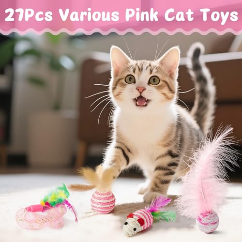 MALLMALL6 Cat Toy Set Interactive Cat Toys 27Pcs Pack Stuff Pink Feather Teaser Wand Springs Mice Sisal Fish Crinkle Balls...