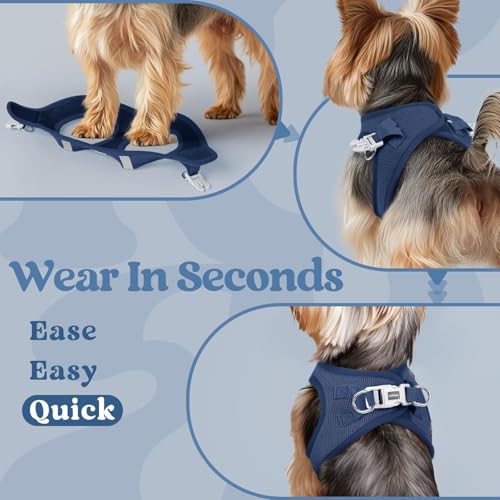 rabbitgoo Small Dog Harness, Step-in Soft Mesh Puppy Vest with Safety Buckle, Breathable Reflective Pet Harness for Small ...