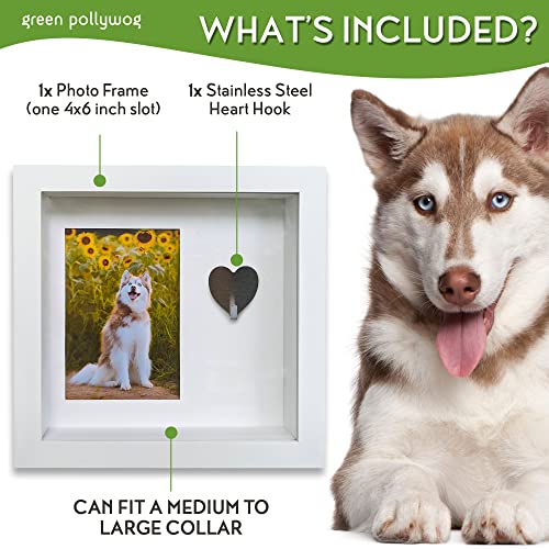 Green Pollywog Pet Memorial Shadowbox with Photo, Tag & Collar Display | White Frame with 4” x 6” Picture Opening | 10” x ...