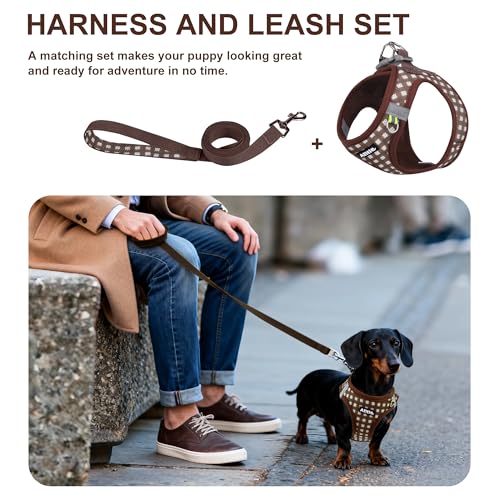 AIITLE Adjustable Dog Harness and Leash Set, Step in No Pull Pet Harness, Soft Mesh Reflective Plaid Vest Harnesses for Sm...